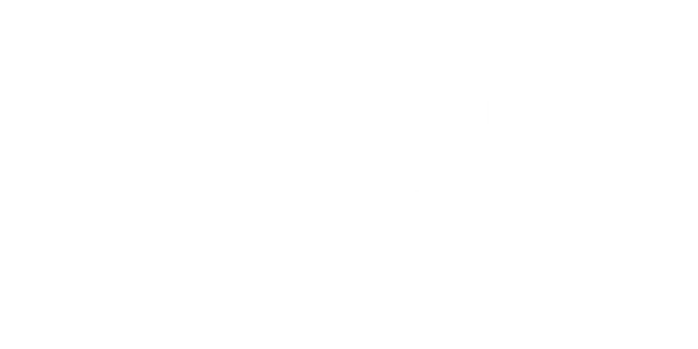 2023 bruggeplus logo wit